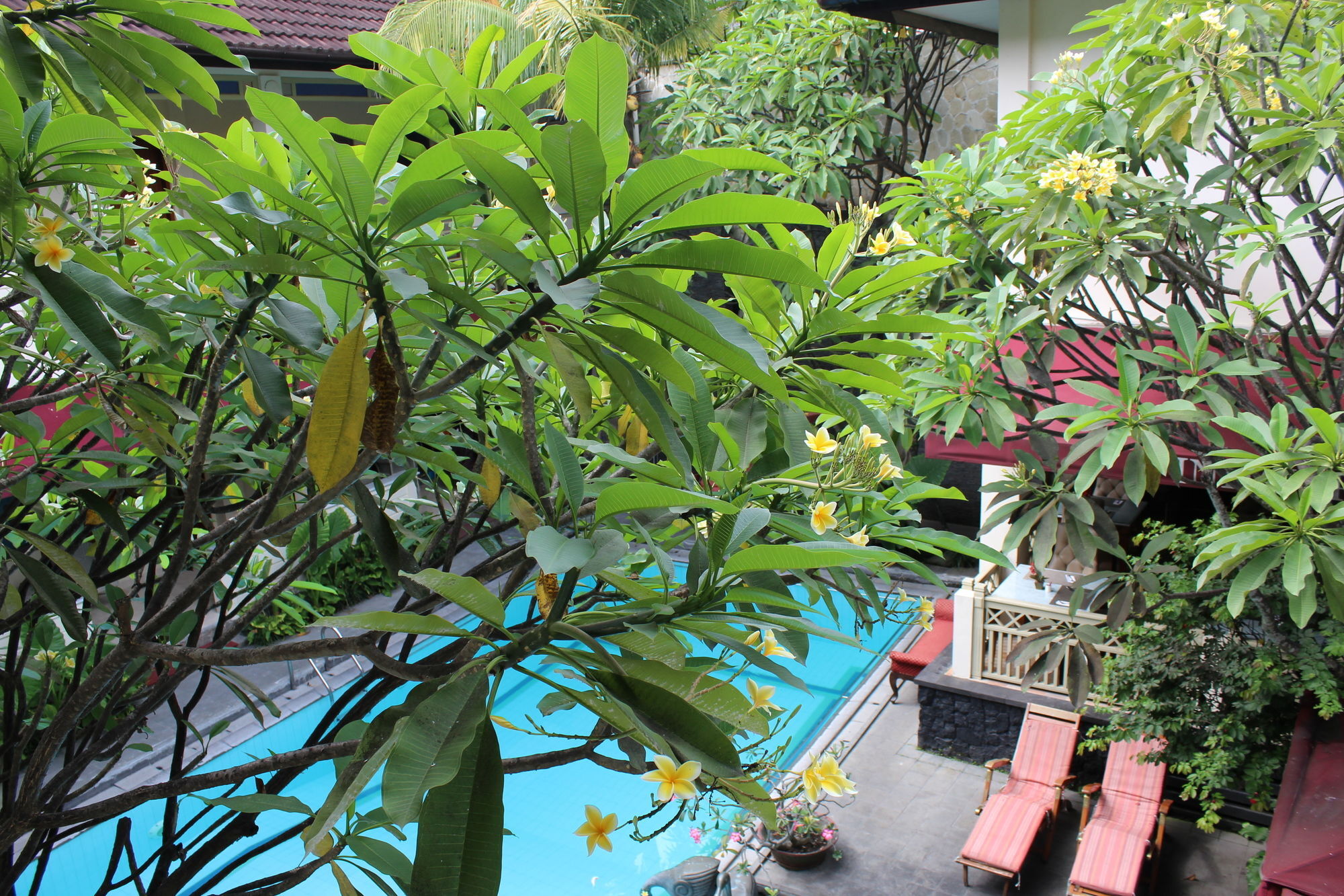 Hotel Indah Palace Yogyakarta Eksteriør billede